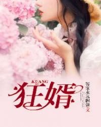 《狂婿》