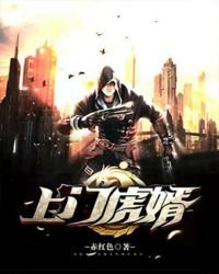 《上門虎婿》
