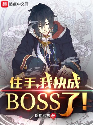 《住手,我快成boss了!》