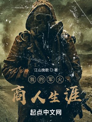 《我的軍火商人生涯》