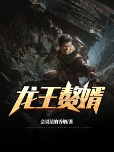 《龍王贅婿》
