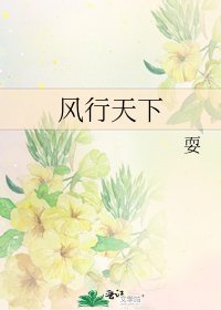 《風行天下》