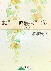 《鼠貓——似貓非貓(第一卷)》