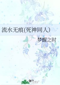《流水無痕(死神同人)》