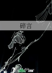 碎言