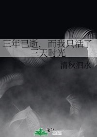 《三年已逝,而我只活了三天時光》