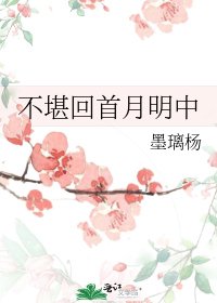 《不堪回首月明中》