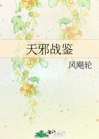 天邪戰鑑