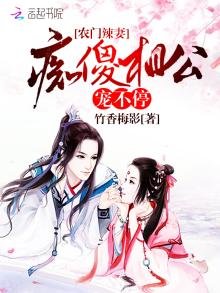 《農門辣妻之痴傻相公追妻忙》