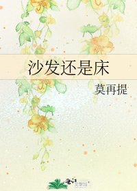 《沙發還是床》