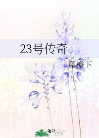 《23號傳奇》