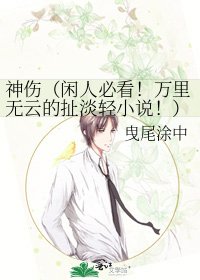 《神傷(閒人必看!萬里無雲的扯淡輕!)》