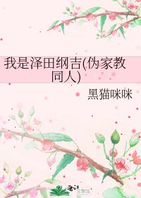 《我是澤田綱吉(偽家教同人)》