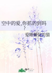 空中的愛,你抓的到嗎?