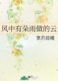 《風中有朵雨做的雲》