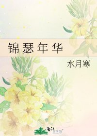 《錦 瑟 年 華》