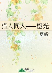 《獵人同人——橙光》