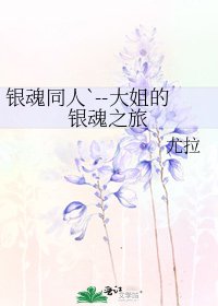 《銀魂同人`--大姐的銀魂之旅》