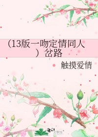 《(13版一吻定情同人)岔路》