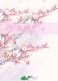 《錦王爺(女尊)》