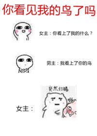 《你看見我的鳥了嗎》