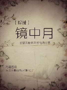 《【綜漫】鏡中月》