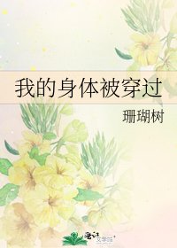 《我的身體被穿過》