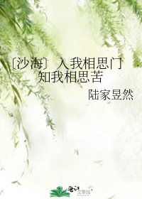 《〔沙海〕入我相思門 知我相思苦》