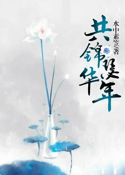 《共錦瑟華年》