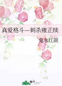《真愛格鬥—刺殺雍正續》