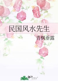 《民國風水先生》
