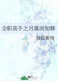 《全職高手之月落而知修》