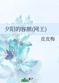 《夕陽的容顏(網王)》