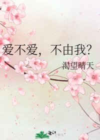 《愛不愛,不由我?》