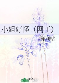 《小姐好怪(網王)》