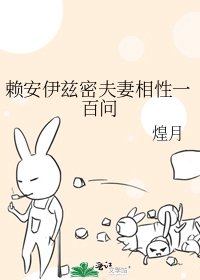 《賴安伊茲密夫妻相性一百問》