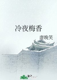 《冷夜梅香》