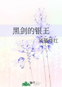 《黑劍的銀王》