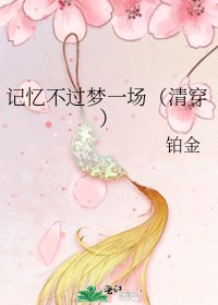 記憶不過夢一場（清穿）