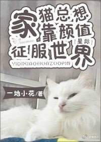 我有貓了！[星際]