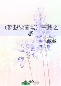 《(夢想綠茵場)榮耀之旅》