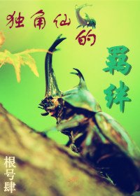 《獨角仙的羈絆》