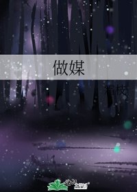 《做媒》
