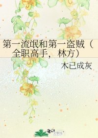 《第一流氓和第一盜賊(全職高手,林方)》