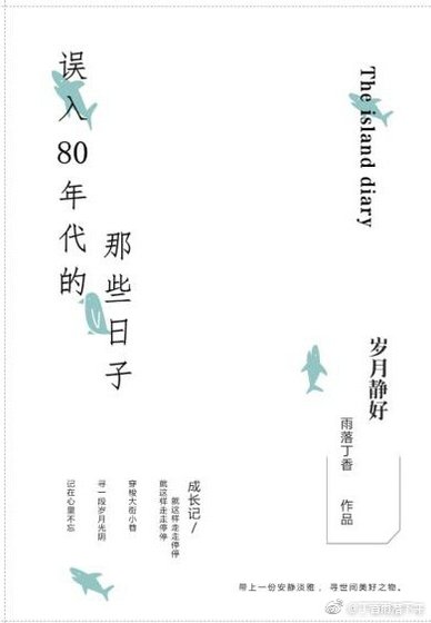 《誤入80年代的那些日子》