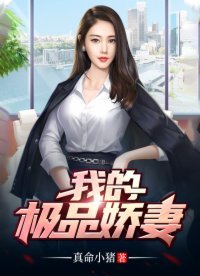 《我的極品嬌妻》