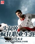 《大叔的瘋狂職業生涯》