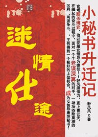 《小秘書升遷記:迷情仕途()》