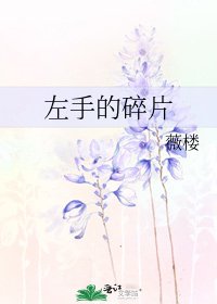 《左手的碎片》