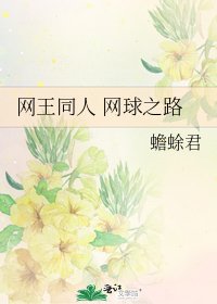 《網王同人 網球之路》